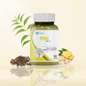 Pivak